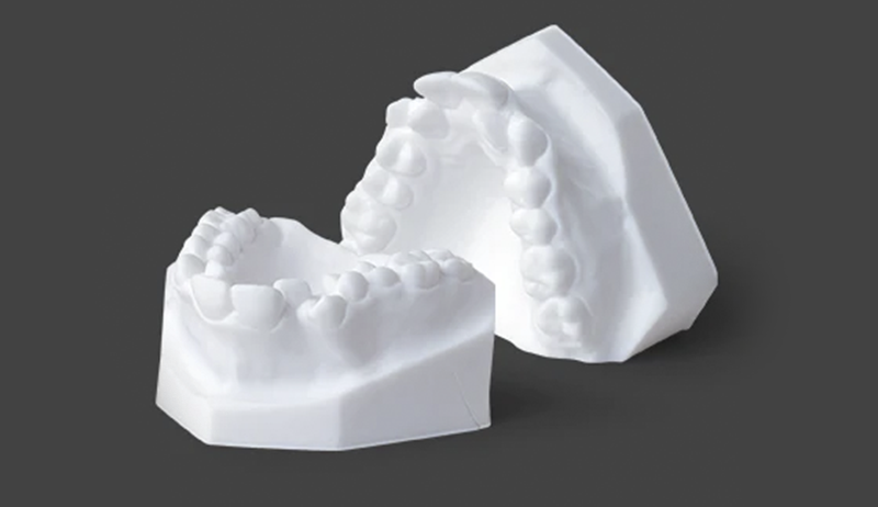 A dental model 3D printed with the Dental Study Model resin